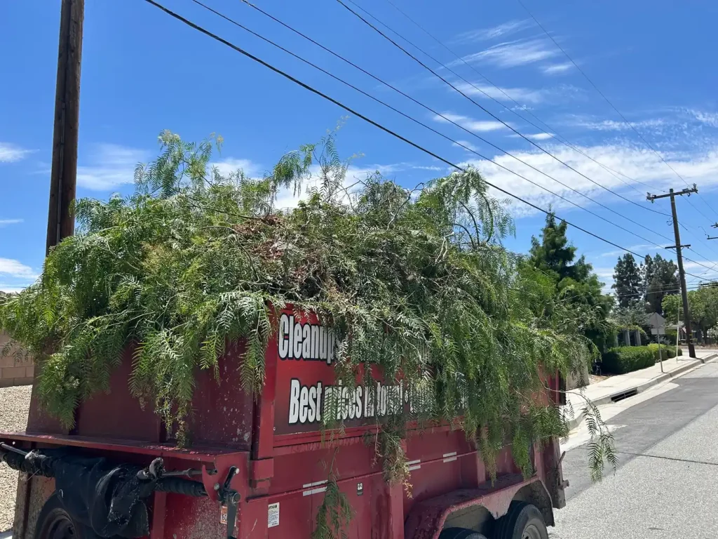 Dump Masters trailer loaded with tree branches and yard waste for pickup on a sunny street.